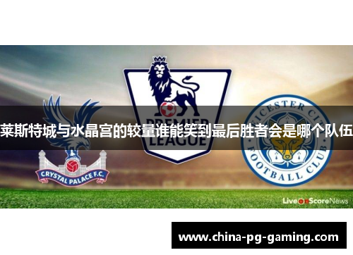 莱斯特城与水晶宫的较量谁能笑到最后胜者会是哪个队伍 莱斯特城与水晶宫的较量谁能笑到最后胜者会是哪个队伍